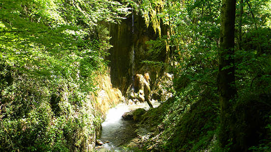 Kanjon Studene (foto: B. Dukić)