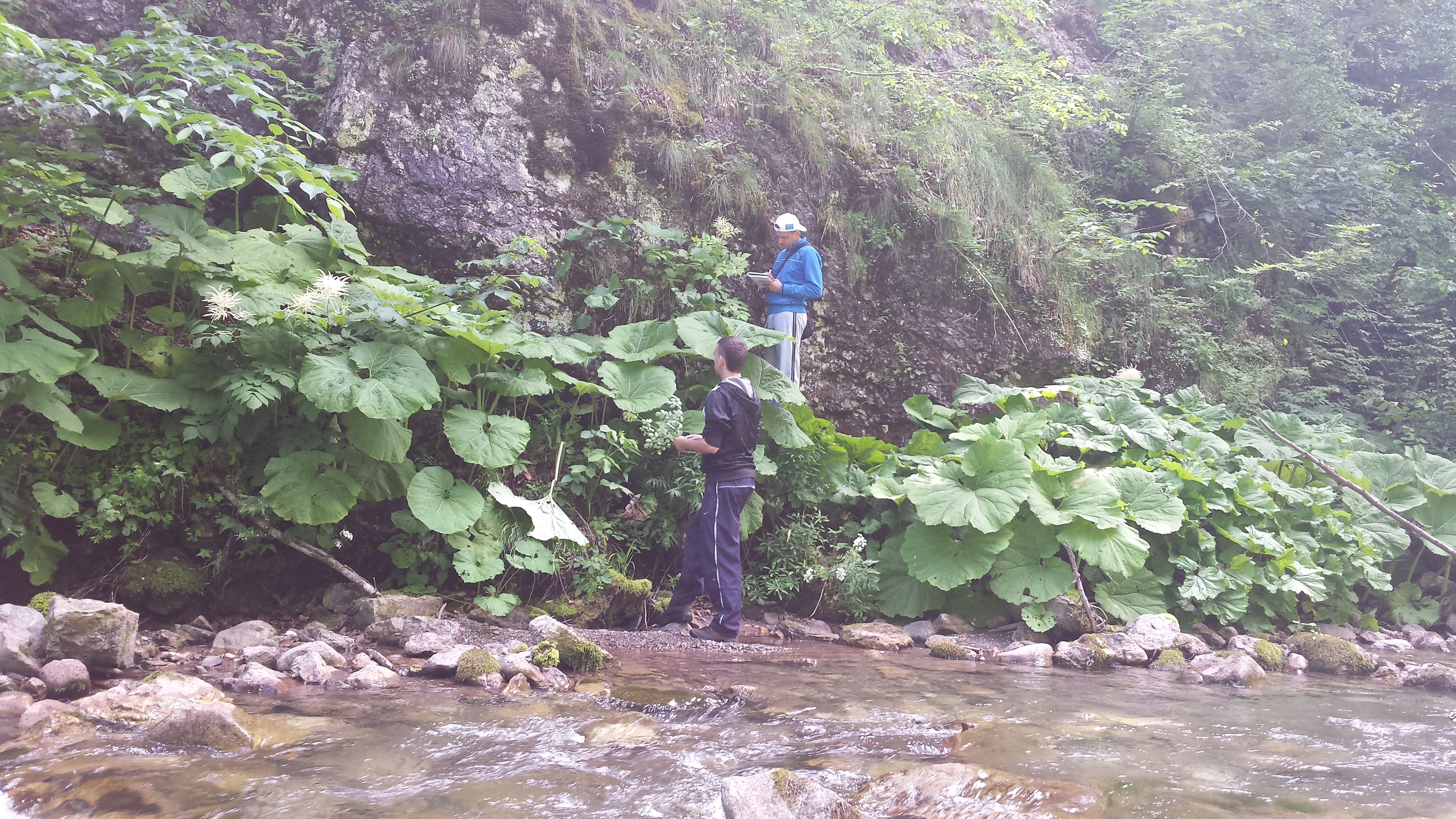 Istraživanje vegetacije u gornjem toku Hrčavke (foto: V. Stupar)