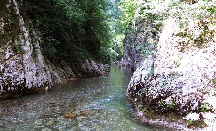 Rijeka Sutjeska u kanjonu (foto J. Sjeničić)